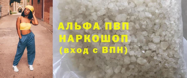 СК Новодвинск