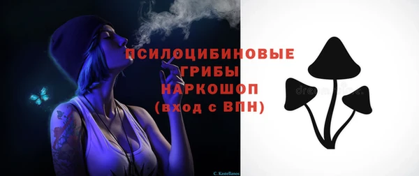 СК Новодвинск