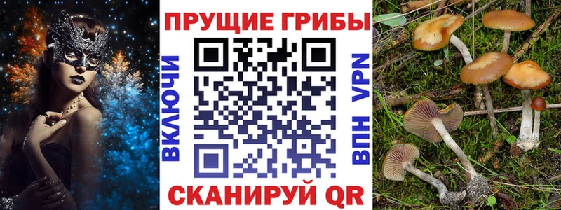 цены   Сегежа  Псилоцибиновые грибы Magic Shrooms 